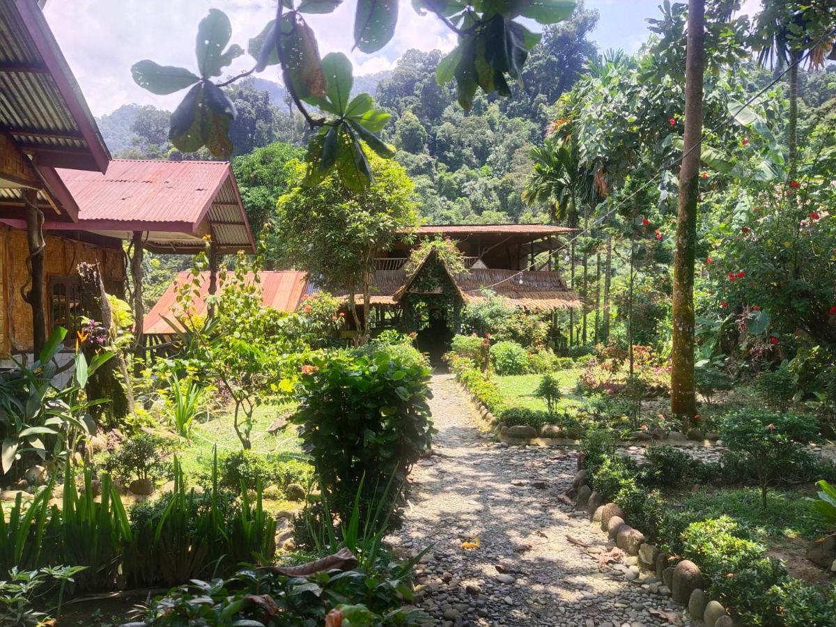Mountain View Cottages & Villa Tangkahan Exterior foto