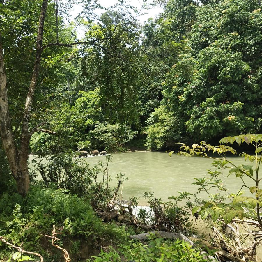Mountain View Cottages & Villa Tangkahan Exterior foto