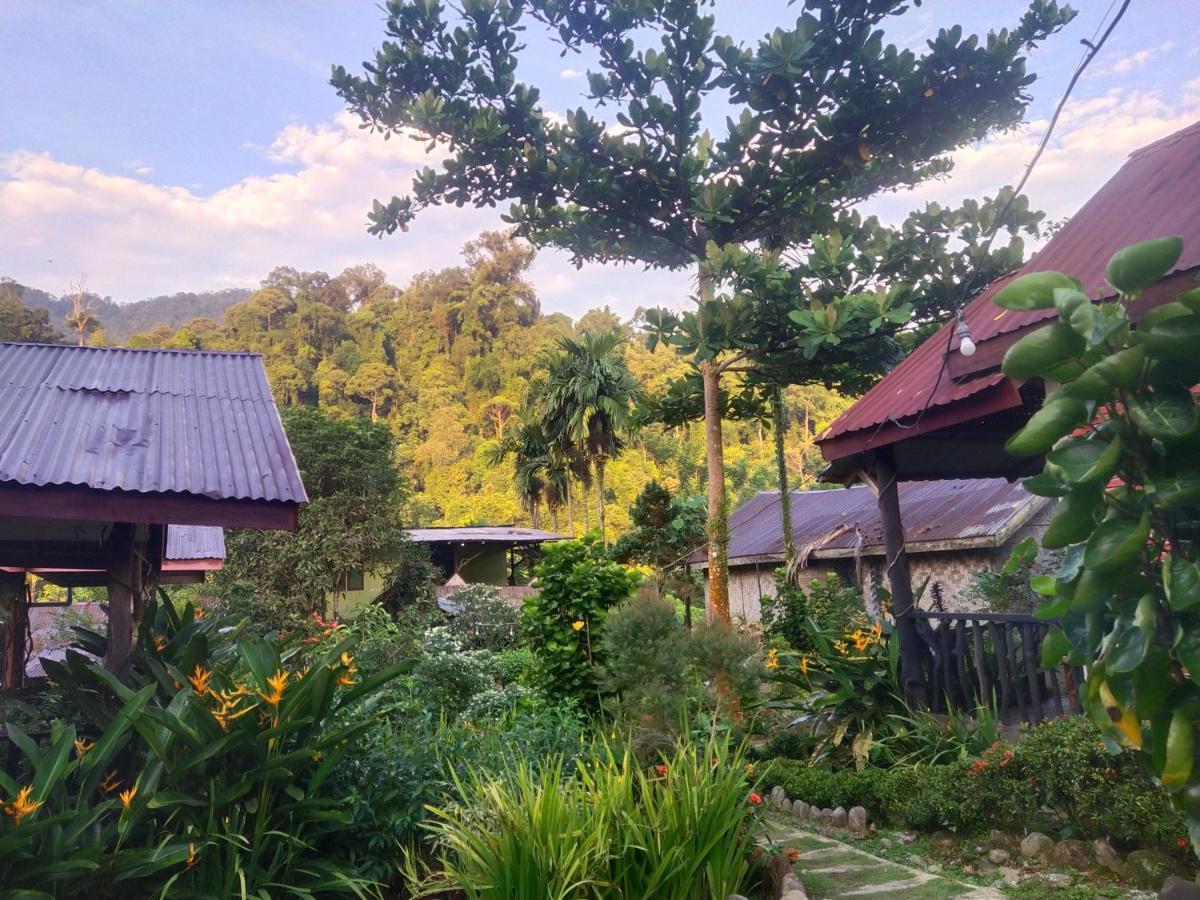 Mountain View Cottages & Villa Tangkahan Exterior foto
