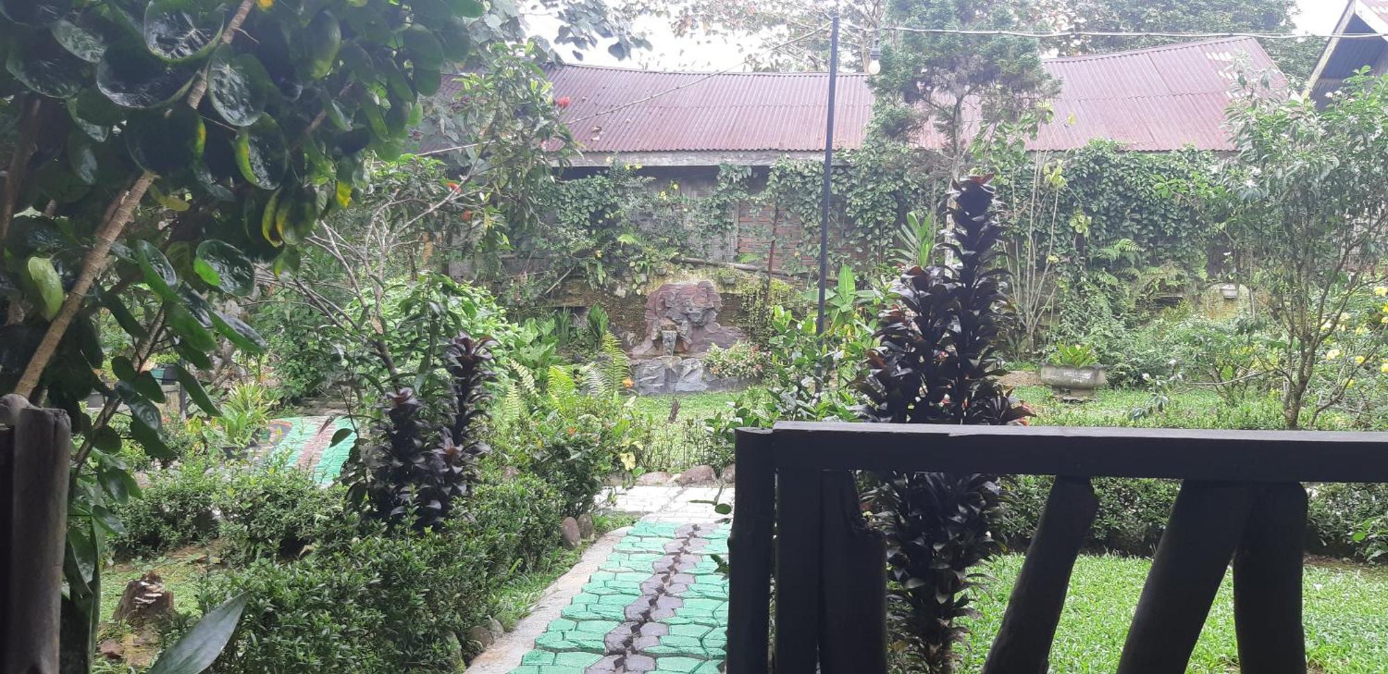 Mountain View Cottages & Villa Tangkahan Exterior foto