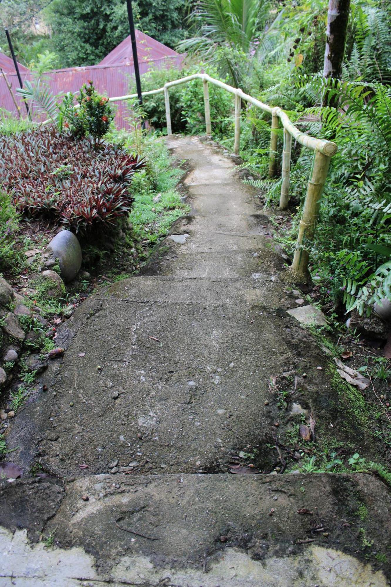 Mountain View Cottages & Villa Tangkahan Exterior foto