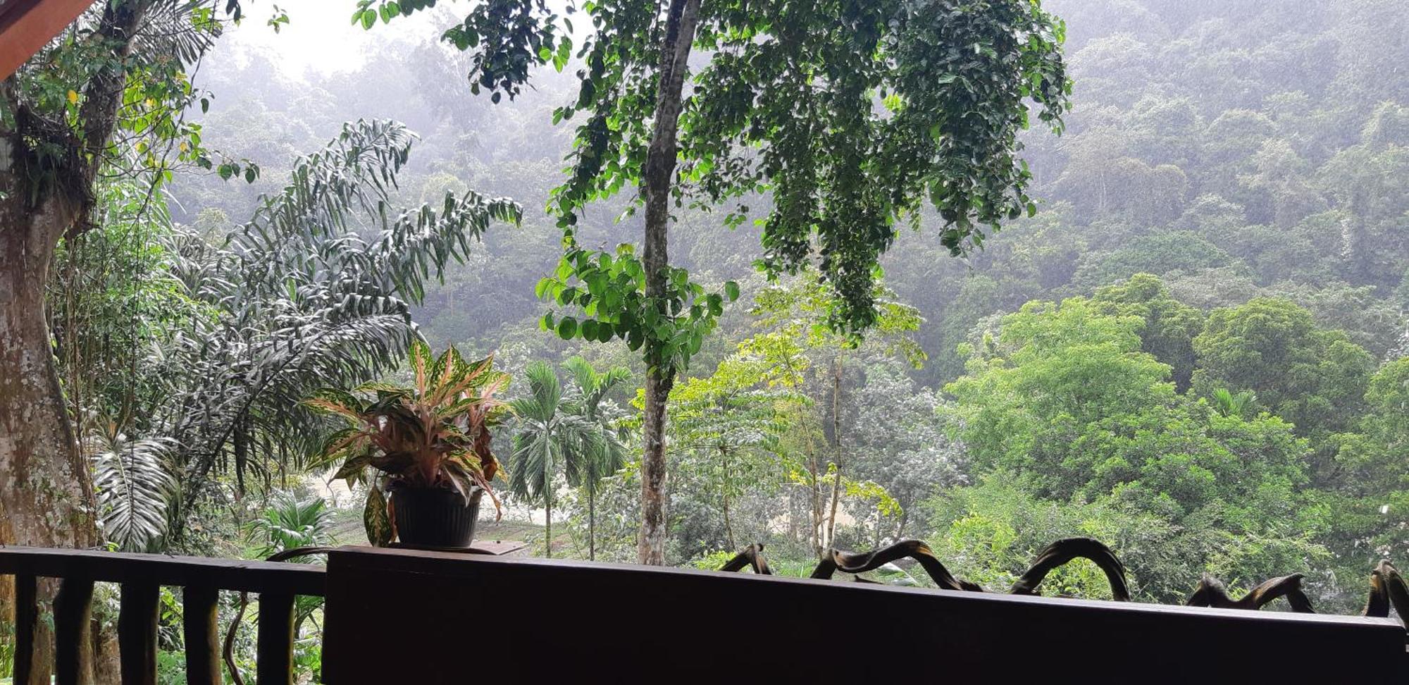 Mountain View Cottages & Villa Tangkahan Exterior foto