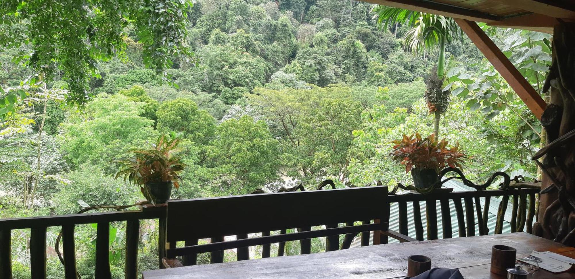 Mountain View Cottages & Villa Tangkahan Exterior foto
